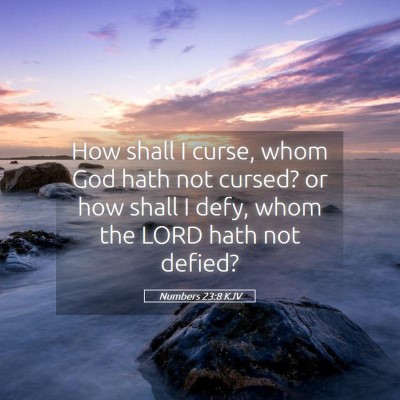 Picture 05 - Numbers 23:8 KJV - How shall I curse, whom God hath not cursed? or - Bible Verse Picture