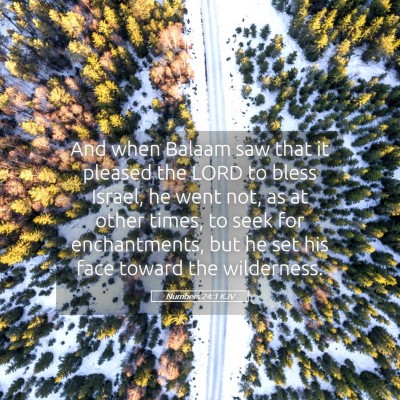 Picture 05 - Numbers 24:1 KJV - And when Balaam saw that it pleased the LORD to - Bible Verse Picture
