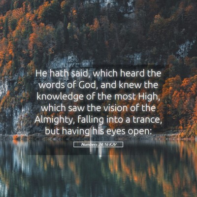 Picture 05 - Numbers 24:16 KJV - He hath said, which heard the words of God, and - Bible Verse Picture