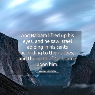 Picture 05 - Numbers 24:2 KJV - And Balaam lifted up his eyes, and he saw Israel - Bible Verse Picture