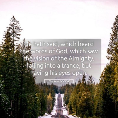 Picture 05 - Numbers 24:4 KJV - He hath said, which heard the words of God, which - Bible Verse Picture