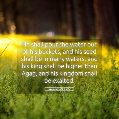 Picture 05 - Numbers 24:7 KJV - He shall pour the water out of his buckets, and - Bible Verse Picture