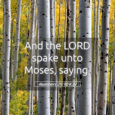 Picture 05 - Numbers 25:10 KJV - And the LORD spake unto Moses, - Bible Verse Picture