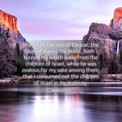 Picture 05 - Numbers 25:11 KJV - Phinehas, the son of Eleazar, the son of Aaron - Bible Verse Picture