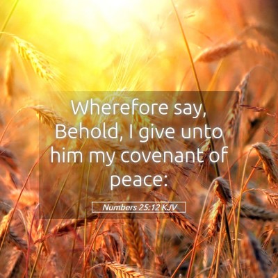 Picture 05 - Numbers 25:12 KJV - Wherefore say, Behold, I give unto him my - Bible Verse Picture