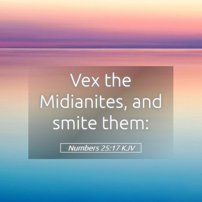 Picture 05 - Numbers 25:17 KJV - Vex the Midianites, and smite - Bible Verse Picture