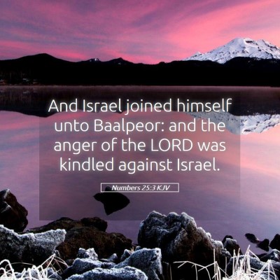 Picture 05 - Numbers 25:3 KJV - And Israel joined himself unto Baalpeor: and the - Bible Verse Picture