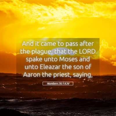 Picture 05 - Numbers 26:1 KJV - And it came to pass after the plague, that the - Bible Verse Picture