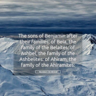 Picture 05 - Numbers 26:38 KJV - The sons of Benjamin after their families: of - Bible Verse Picture