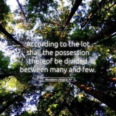 Picture 05 - Numbers 26:56 KJV - According to the lot shall the possession thereof - Bible Verse Picture