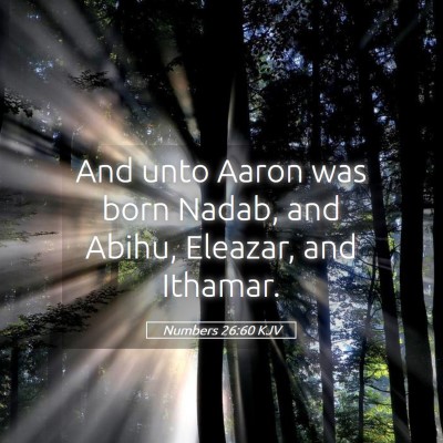 Picture 05 - Numbers 26:60 KJV - And unto Aaron was born Nadab, and Abihu, - Bible Verse Picture