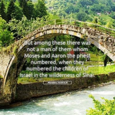 Picture 05 - Numbers 26:64 KJV - But among these there was not a man of them whom - Bible Verse Picture