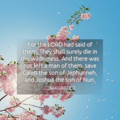 Picture 05 - Numbers 26:65 KJV - For the LORD had said of them, They shall surely - Bible Verse Picture