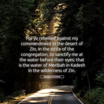 Picture 05 - Numbers 27:14 KJV - For ye rebelled against my commandment in the - Bible Verse Picture