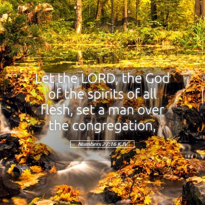 Picture 05 - Numbers 27:16 KJV - Let the LORD, the God of the spirits of all - Bible Verse Picture