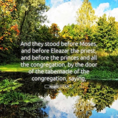 Picture 05 - Numbers 27:2 KJV - And they stood before Moses, and before Eleazar - Bible Verse Picture