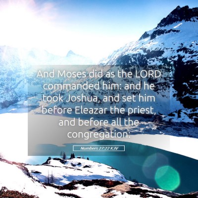 Picture 05 - Numbers 27:22 KJV - And Moses did as the LORD commanded him: and he - Bible Verse Picture