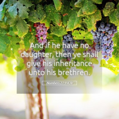 Picture 05 - Numbers 27:9 KJV - And if he have no daughter, then ye shall give - Bible Verse Picture