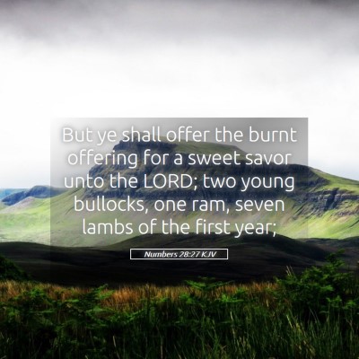 Picture 05 - Numbers 28:27 KJV - But ye shall offer the burnt offering for a sweet - Bible Verse Picture