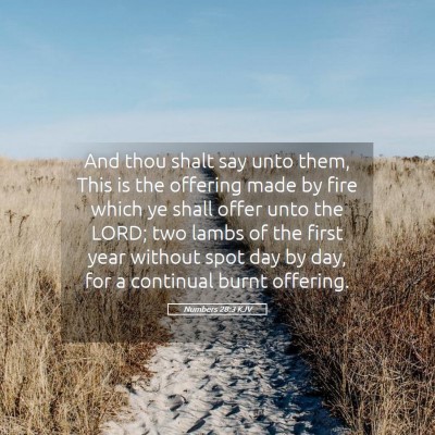 Picture 05 - Numbers 28:3 KJV - And thou shalt say unto them, This is the - Bible Verse Picture