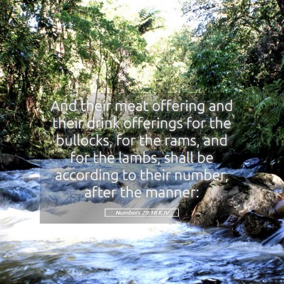 Picture 05 - Numbers 29:18 KJV - And their meat offering and their drink offerings - Bible Verse Picture