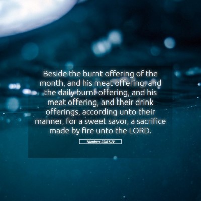 Picture 05 - Numbers 29:6 KJV - Beside the burnt offering of the month, and his - Bible Verse Picture