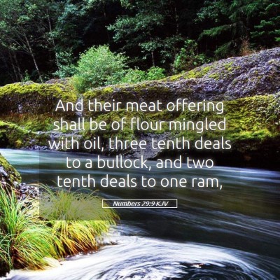Picture 05 - Numbers 29:9 KJV - And their meat offering shall be of flour mingled - Bible Verse Picture