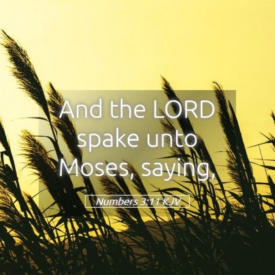 Picture 05 - Numbers 3:11 KJV - And the LORD spake unto Moses, - Bible Verse Picture