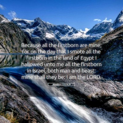 Picture 05 - Numbers 3:13 KJV - Because all the firstborn are mine; for on the - Bible Verse Picture