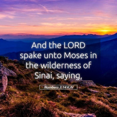 Picture 05 - Numbers 3:14 KJV - And the LORD spake unto Moses in the wilderness - Bible Verse Picture