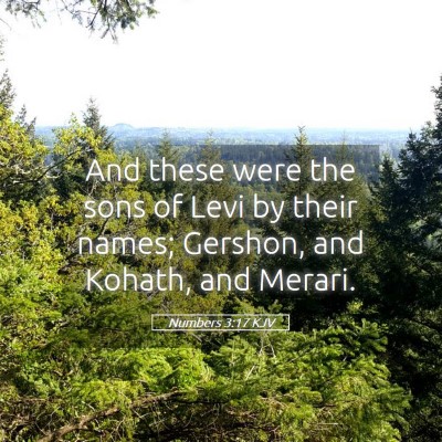 Picture 05 - Numbers 3:17 KJV - And these were the sons of Levi by their names; - Bible Verse Picture