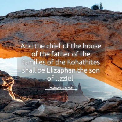 Picture 05 - Numbers 3:30 KJV - And the chief of the house of the father of the - Bible Verse Picture
