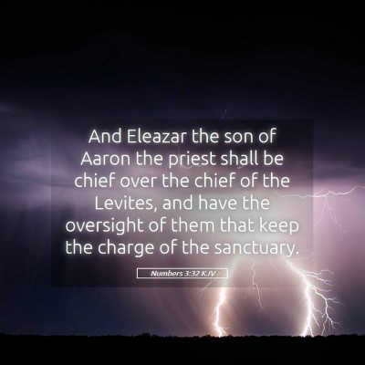 Picture 05 - Numbers 3:32 KJV - And Eleazar the son of Aaron the priest shall be - Bible Verse Picture