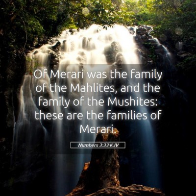 Picture 05 - Numbers 3:33 KJV - Of Merari was the family of the Mahlites, and the - Bible Verse Picture