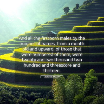 Picture 05 - Numbers 3:43 KJV - And all the firstborn males by the number of - Bible Verse Picture
