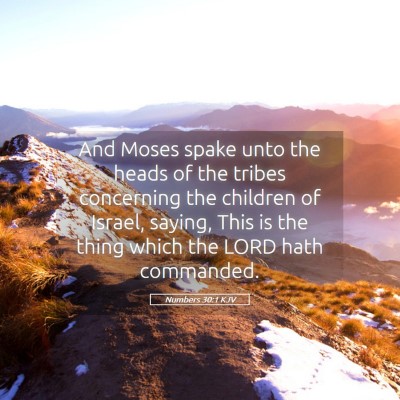 Picture 05 - Numbers 30:1 KJV - And Moses spake unto the heads of the tribes - Bible Verse Picture
