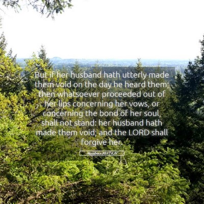 Picture 05 - Numbers 30:12 KJV - But if her husband hath utterly made them void on - Bible Verse Picture