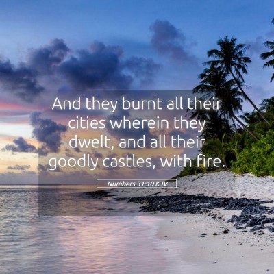Picture 05 - Numbers 31:10 KJV - And they burnt all their cities wherein they - Bible Verse Picture