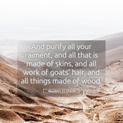 Picture 05 - Numbers 31:20 KJV - And purify all your raiment, and all that is made - Bible Verse Picture