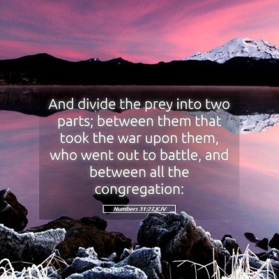 Picture 05 - Numbers 31:27 KJV - And divide the prey into two parts; between them - Bible Verse Picture