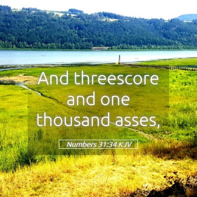 Picture 05 - Numbers 31:34 KJV - And threescore and one thousand - Bible Verse Picture