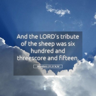 Picture 05 - Numbers 31:37 KJV - And the LORD's tribute of the sheep was six - Bible Verse Picture