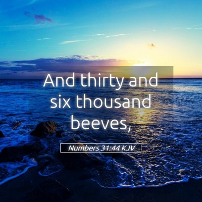 Picture 05 - Numbers 31:44 KJV - And thirty and six thousand - Bible Verse Picture