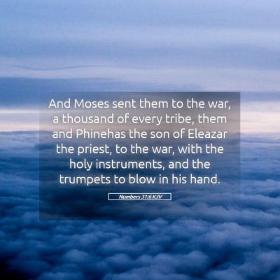 Picture 05 - Numbers 31:6 KJV - And Moses sent them to the war, a thousand of - Bible Verse Picture