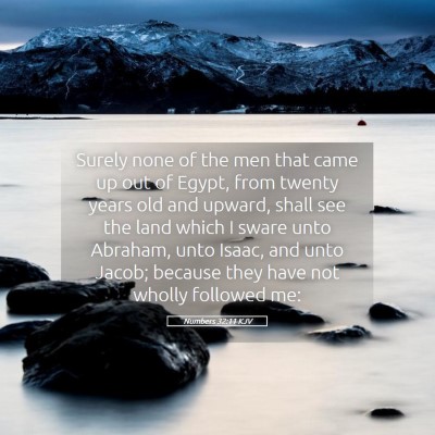 Picture 05 - Numbers 32:11 KJV - Surely none of the men that came up out of Egypt, - Bible Verse Picture