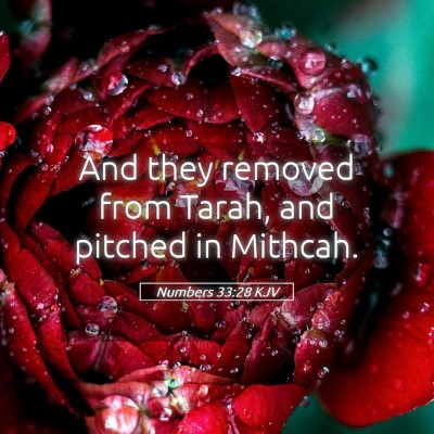 Picture 05 - Numbers 33:28 KJV - And they removed from Tarah, and pitched in - Bible Verse Picture