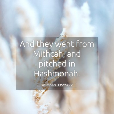 Picture 05 - Numbers 33:29 KJV - And they went from Mithcah, and pitched in - Bible Verse Picture