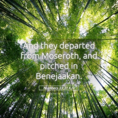 Picture 05 - Numbers 33:31 KJV - And they departed from Moseroth, and pitched in - Bible Verse Picture
