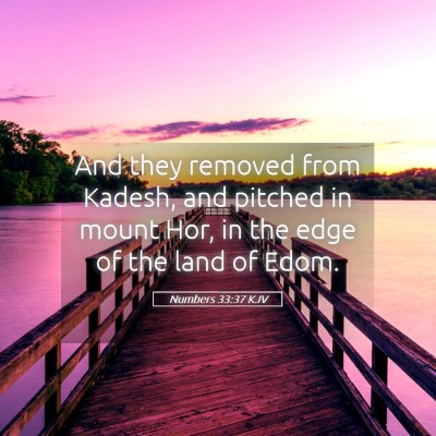 Picture 05 - Numbers 33:37 KJV - And they removed from Kadesh, and pitched in - Bible Verse Picture