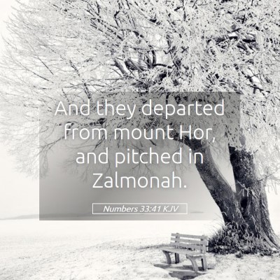 Picture 05 - Numbers 33:41 KJV - And they departed from mount Hor, and pitched in - Bible Verse Picture
